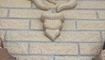 IMG_8518.jpeg