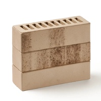 Кирпич пустотелый Эрфурт Вюсте